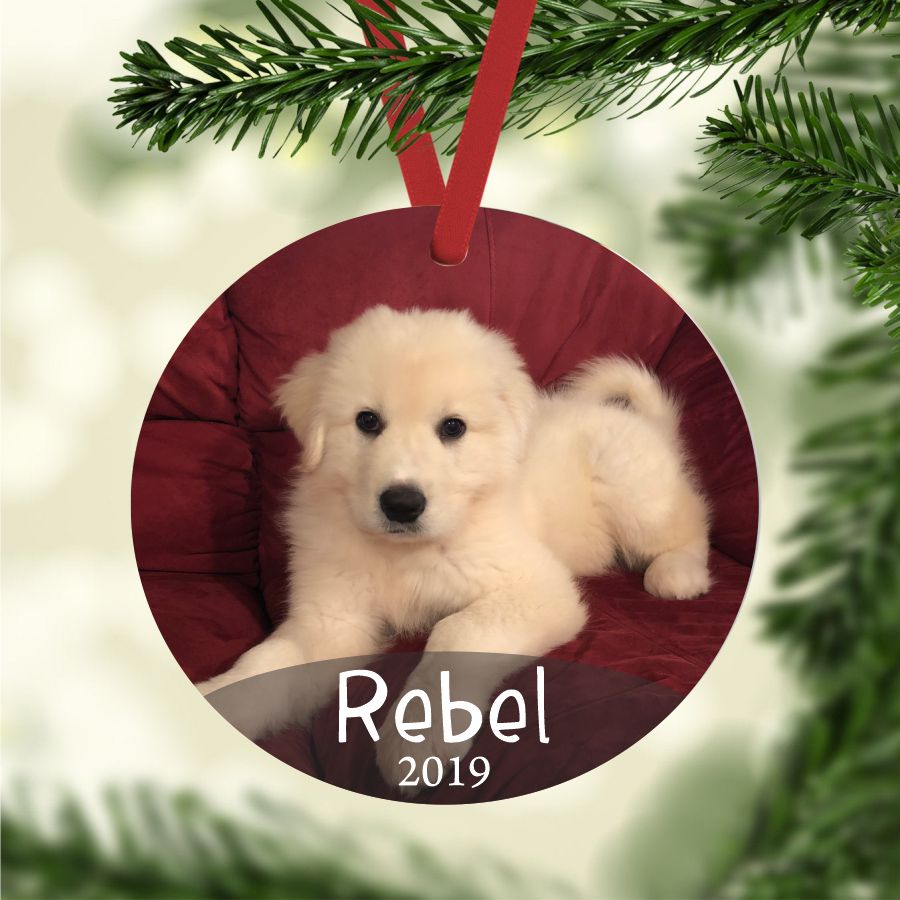 Pet First Christmas – Photo Ornament